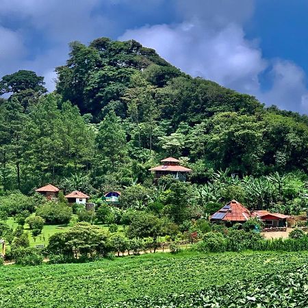 Finca Neblina del Bosque Estelí Exterior foto