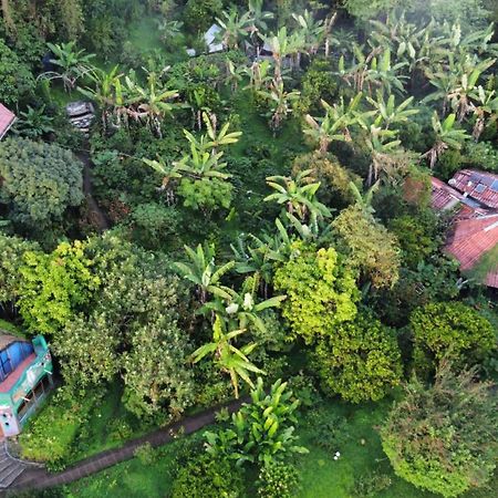 Finca Neblina del Bosque Estelí Exterior foto