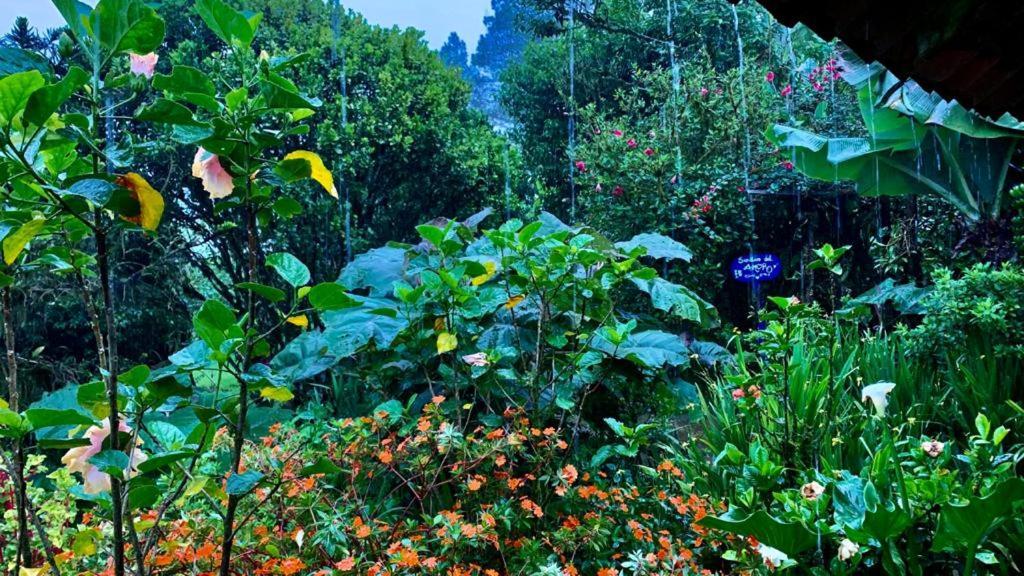 Finca Neblina del Bosque Estelí Exterior foto