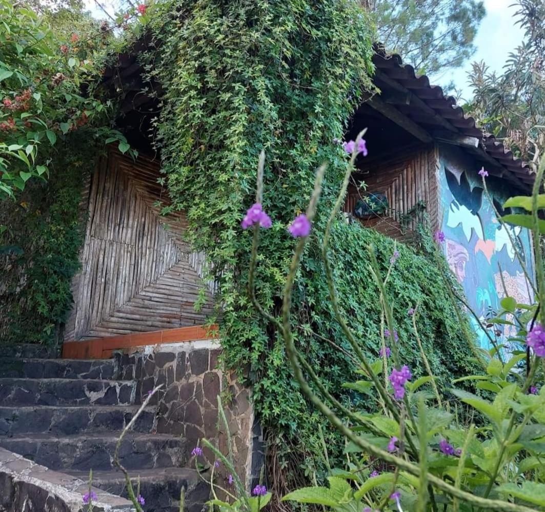 Finca Neblina del Bosque Estelí Exterior foto